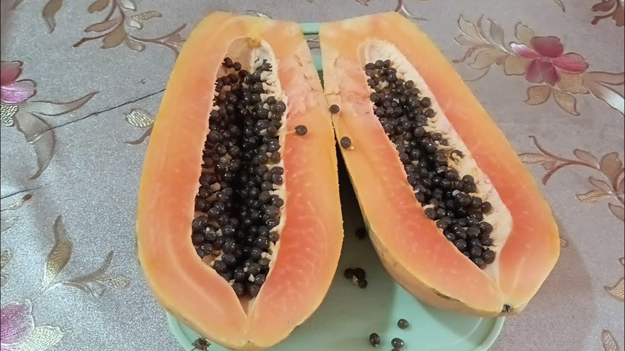 Healthy Meal Replacement