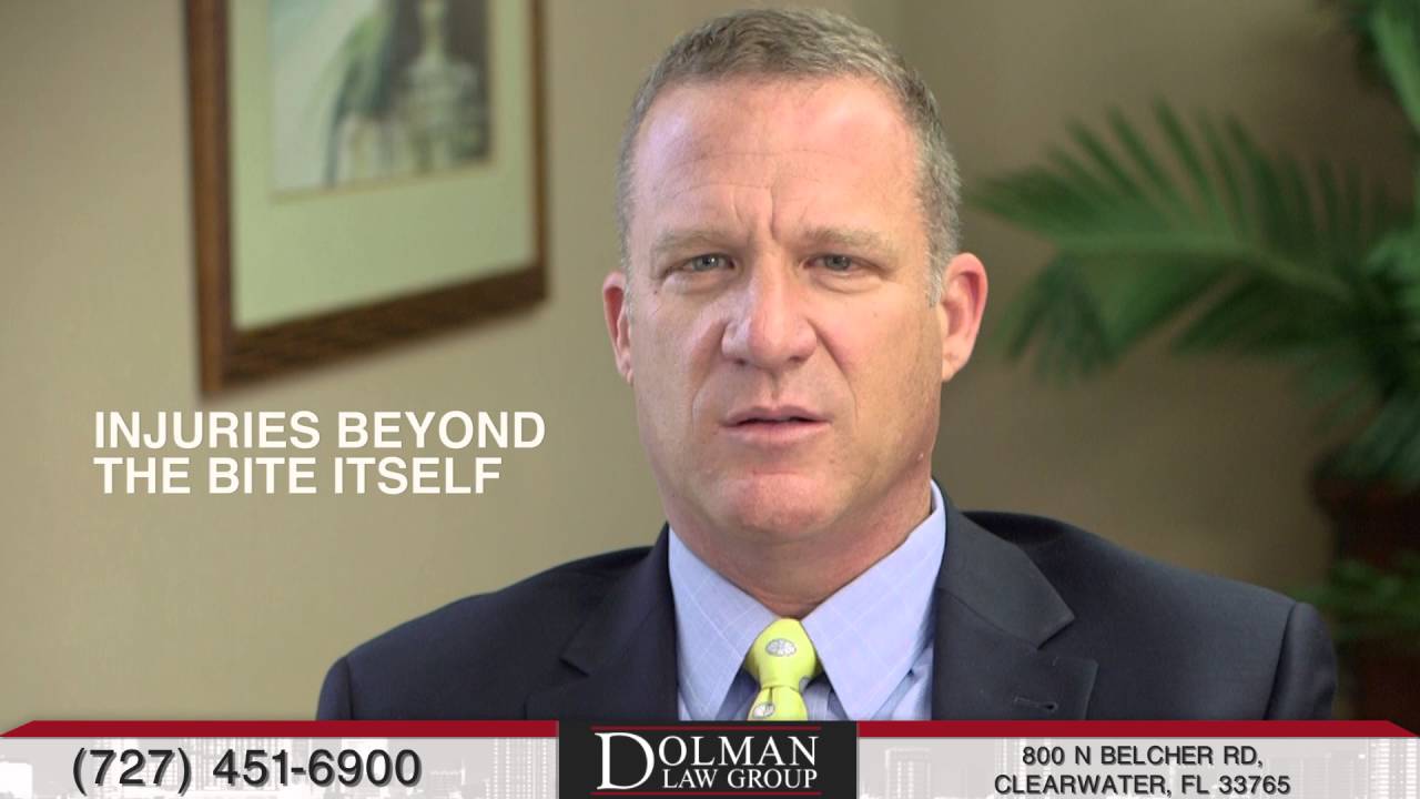 Clearwater Dog Bite Injuries | Florida Personal Injury Lawyers