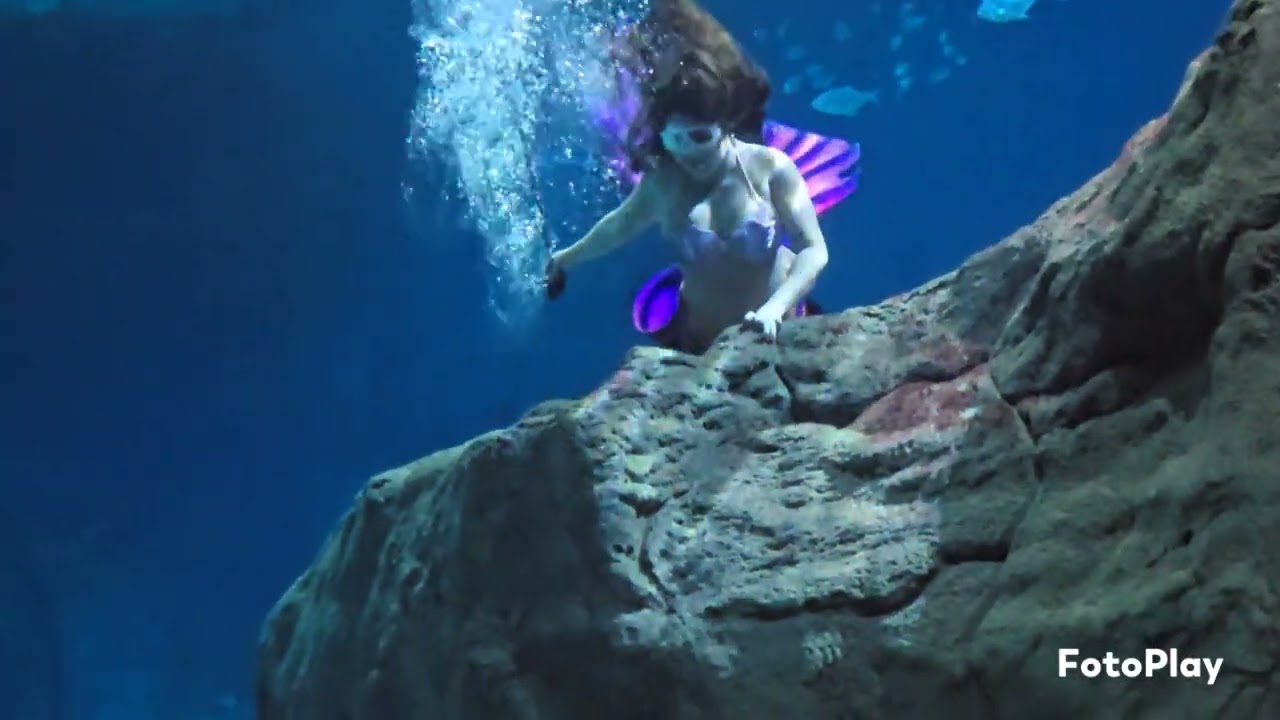 Mermaid Show in Odysseo Oceanarium Mauritius 12/20/25