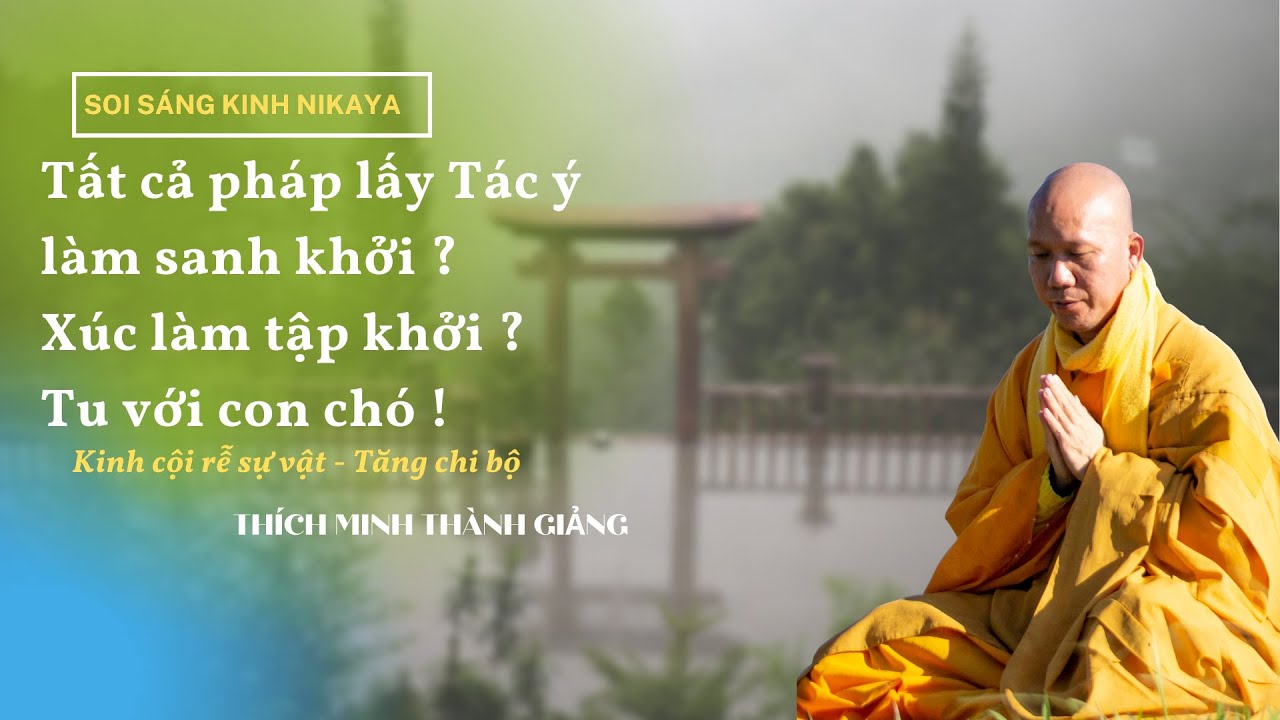 SOI SÁNG KINH NIKAYA - Tất cả pháp lấy Tác ý làm sanh khởi ? Xúc làm tập khởi ? Tu với con chó !