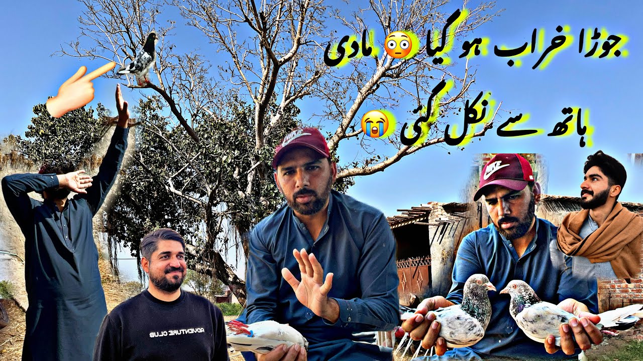 Video bnaty huwe madi hath sy nikal gai 😳 Big loss today 😭 03237988919