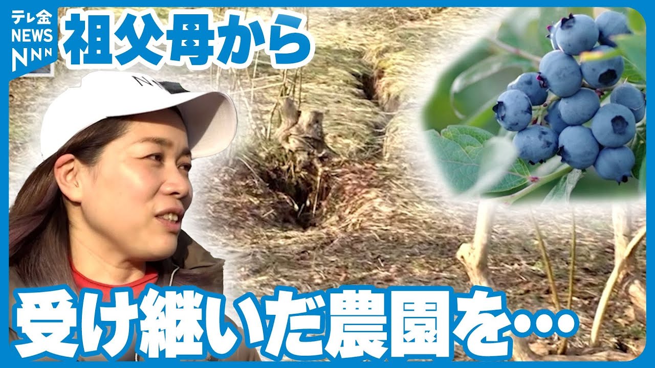 【中継】祖父から受け継いだ農園が…加工場も被災した県内最大ブルーベリー農園の今