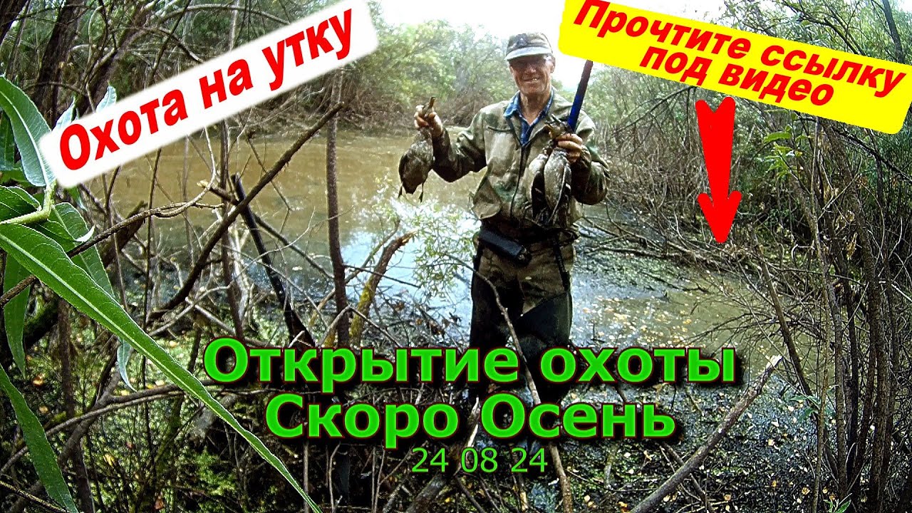 Открытие охоты Начало Осени 24 08 24