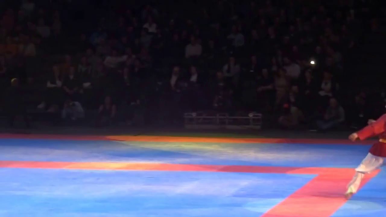 FAM2016 : Taekkyon (Cor&eacute;e) par Ma&icirc;tre Moon, son disciple cor&eacute;en le centre fran&ccedil;ais de Taekkyon