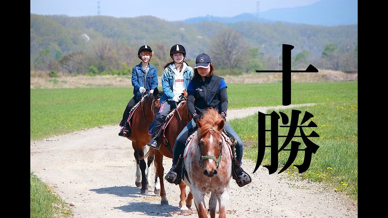十勝大平原！日本最長の馬の道で乗馬体験！@北海道鹿追町 Horse riding at Shikaoi Tokachi, Hokkaido