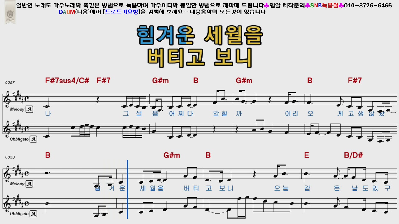 강진 붓