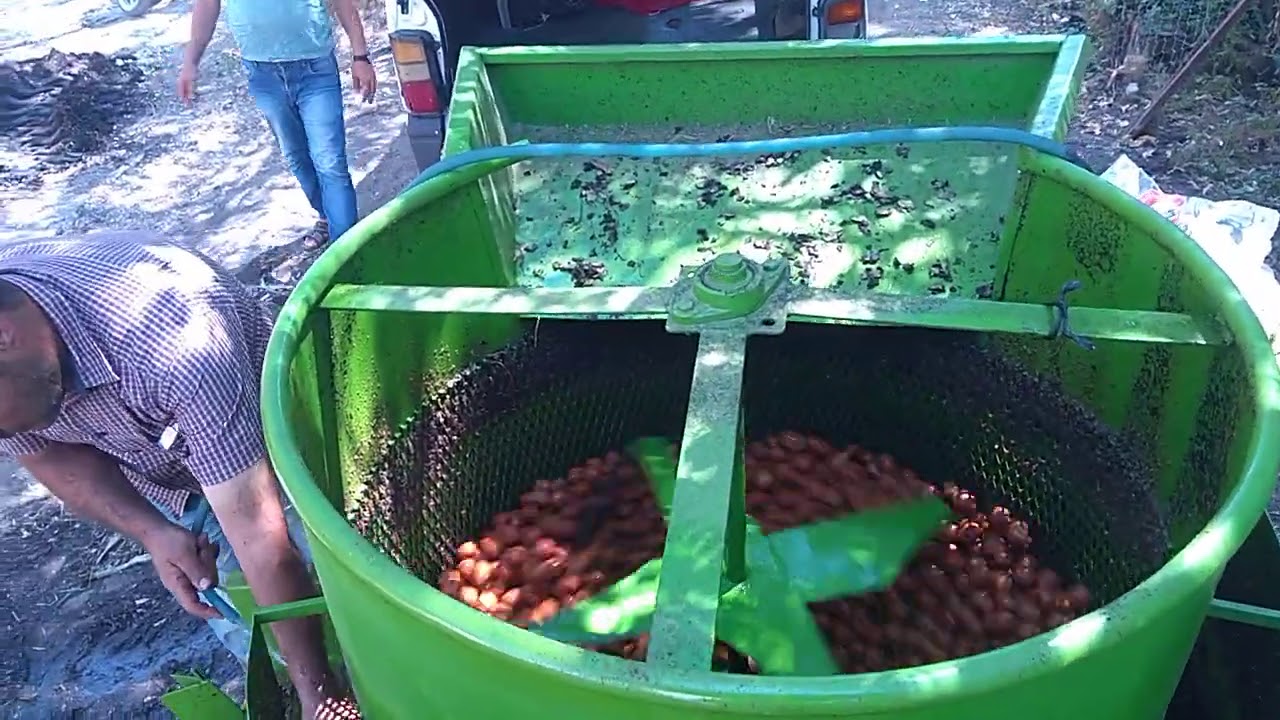 Ceviz soyma makinası