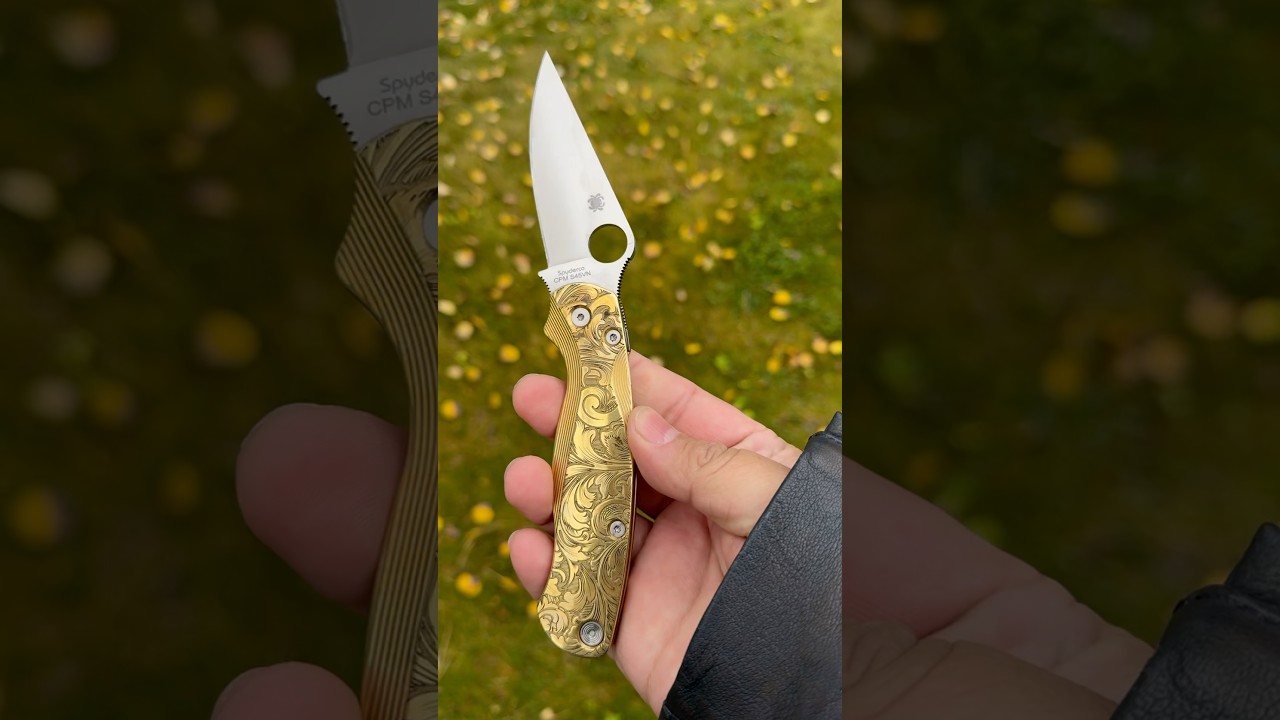 Spyderco PM2 with DNAlasering brass scales
