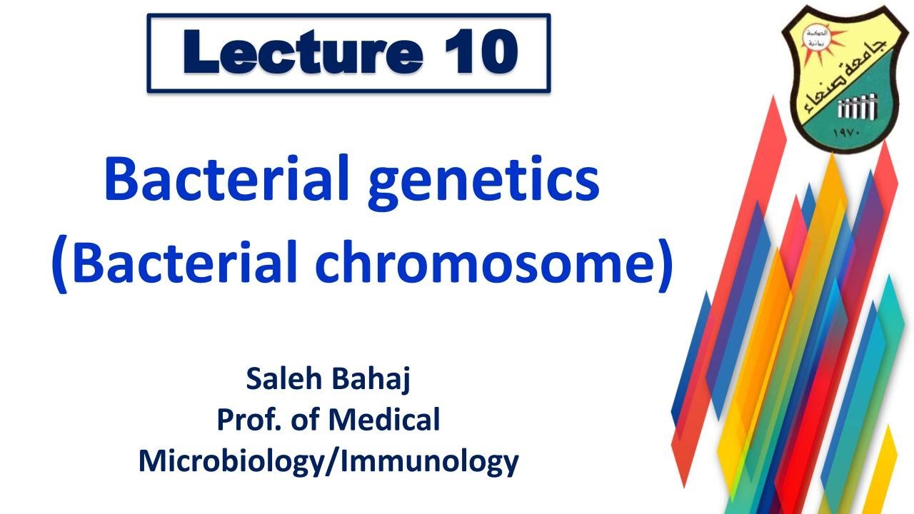 10- Bacterial genetics (Bacterial chromosome)