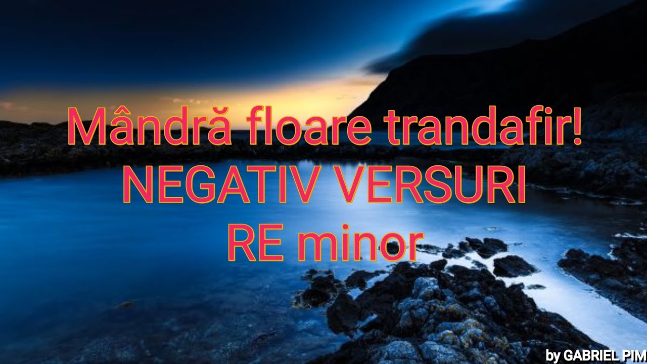 Mândra floare trandafir! NEGATIV VERSURI! RE minor! COVER