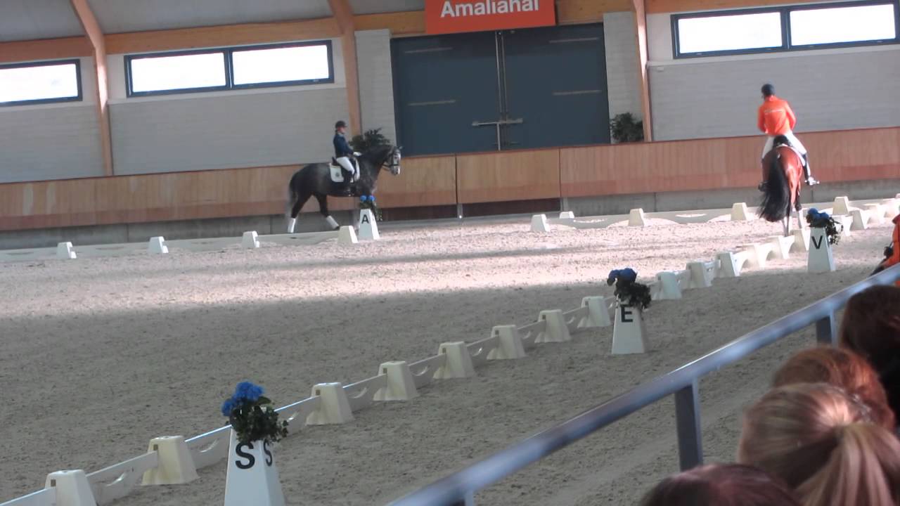 Diederik van Silfhout met Expression KNHS trainersseminar. Deel 2/2