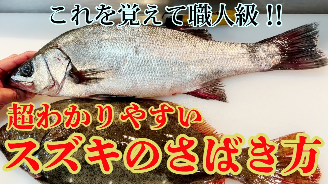 【スズキのさばき方】これを覚えて職人級 超わかりやすく解説 平スズキの刺身 Japanese fish market and washoku Japanese cuisine