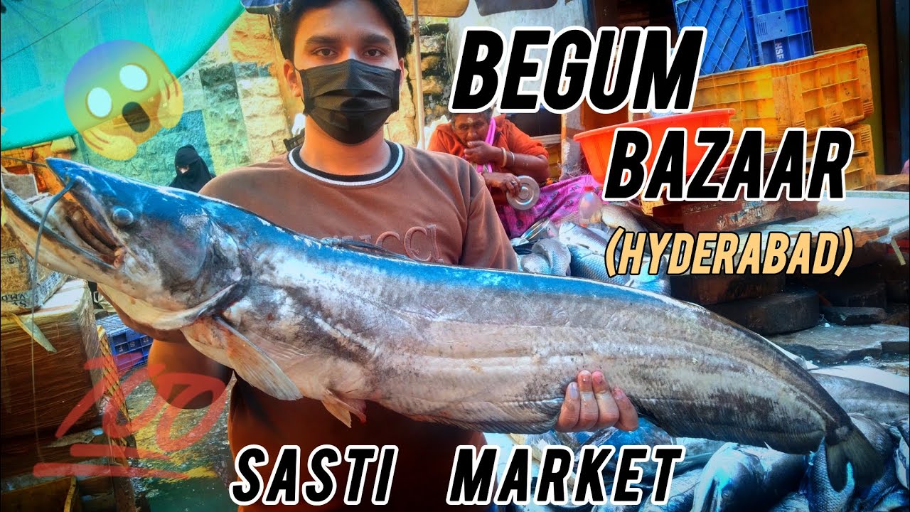 📍 FISH 🐠 MARKET BEGUM BAZAR HYDERABAD  WHOLESALE PRICES | #fishmarket #hyderabad #fish #viralvideo