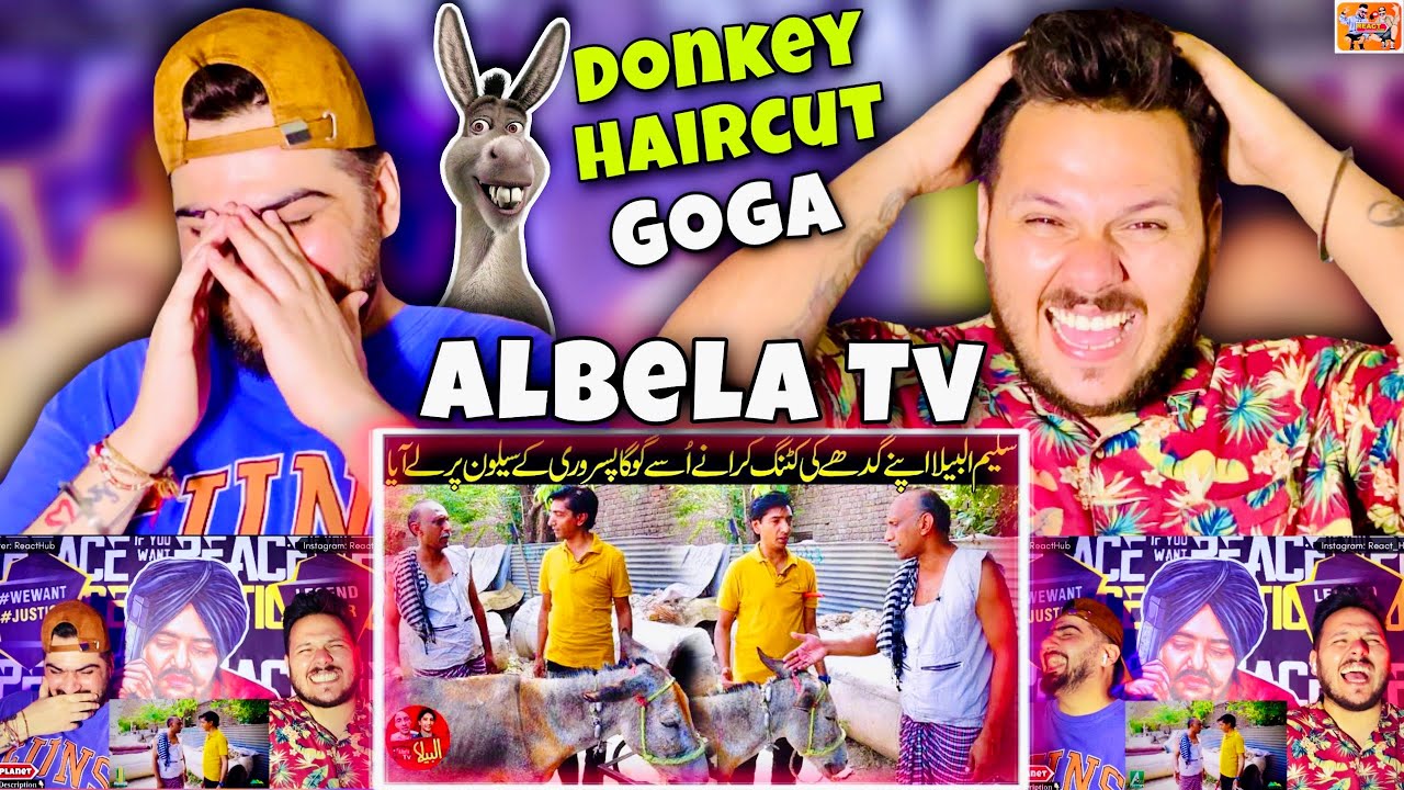 Albela Tv Saleem Albela came to Goga Pasroori to have the Donkey's hair cut Funny Video @reacthub