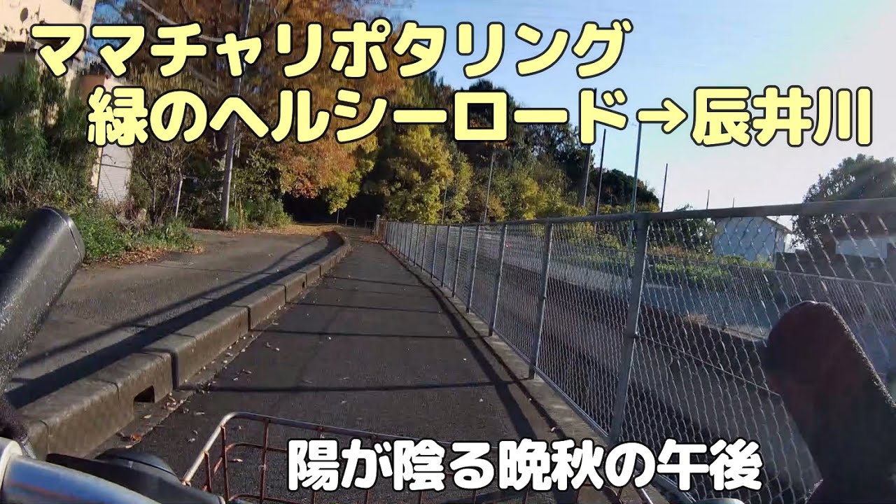 ママチャリポタリング　緑のヘルシーロード→辰井川　陽が陰る晩秋の午後、いつもの直売所で野菜を購入（20251126）