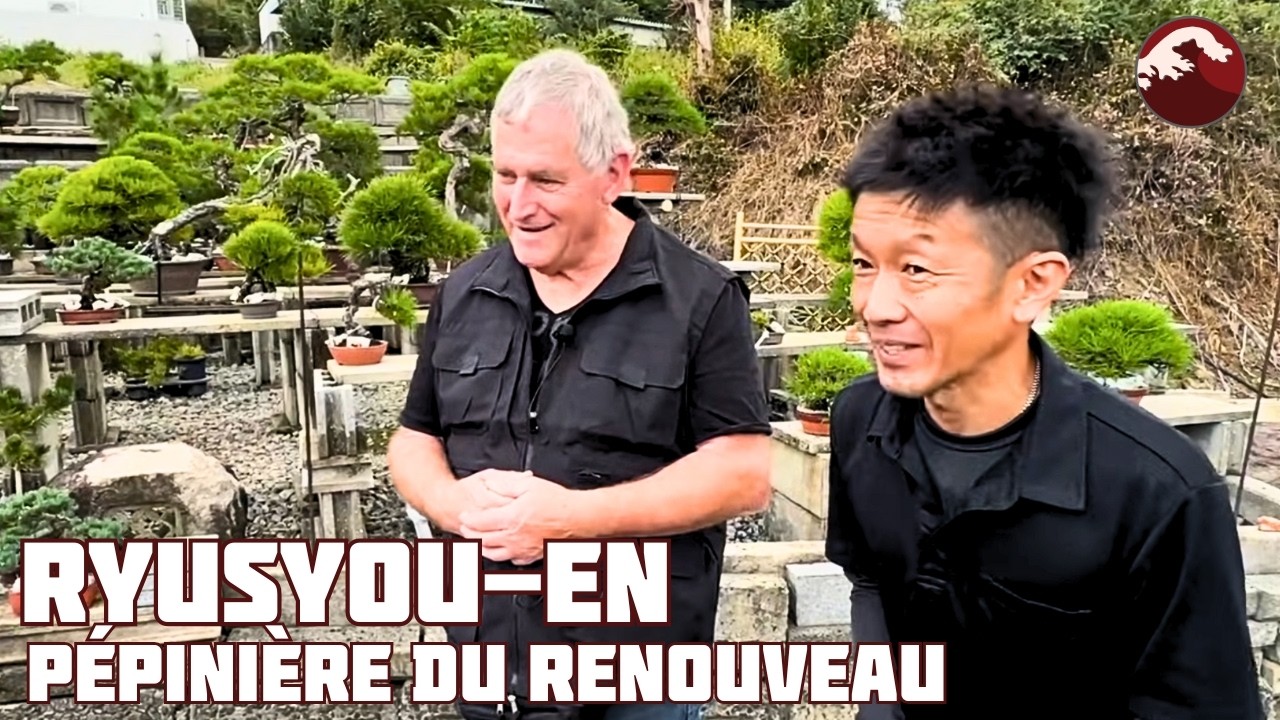 Rencontre avec le Maître Yuichiro Mitani du jardin RYUSYOU-EN (Japon) 🌱 NEJIKAN BONSAI 🌱