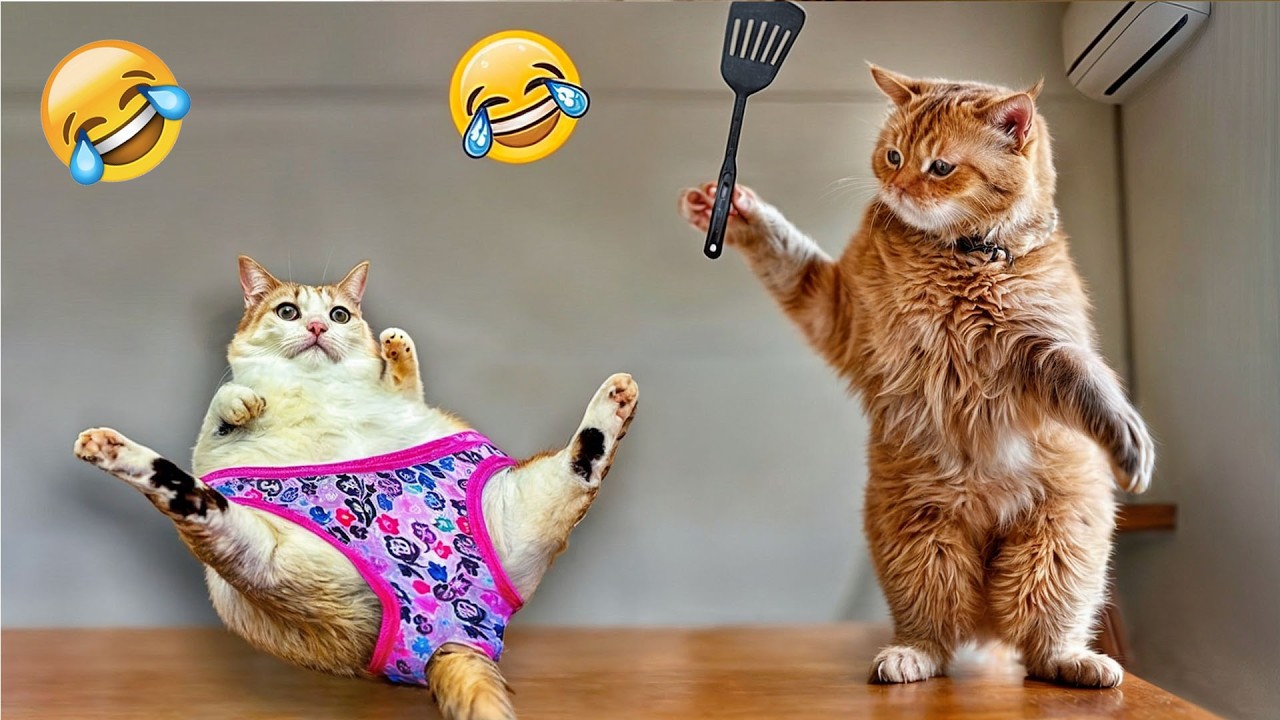 Try Not To Laugh❤️Funniest Cats and Dogs Clips 2026❤️😸🐕‍🦺