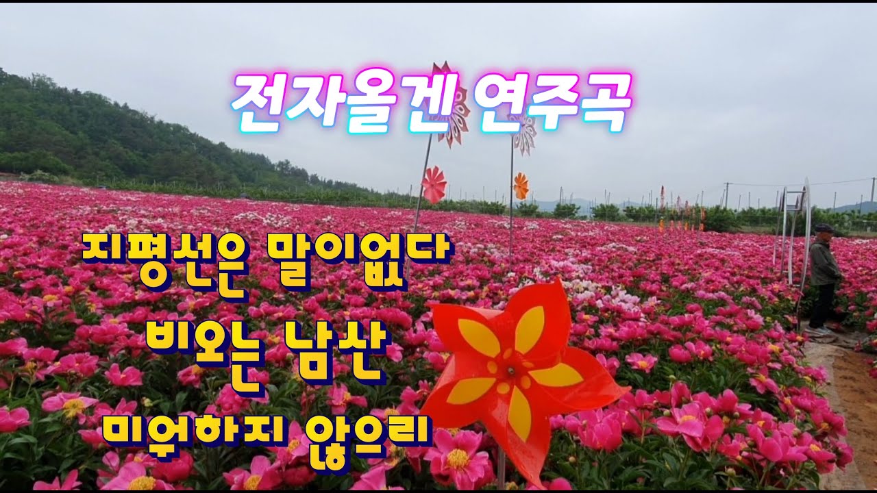 지평선은 말이 없다,  비오는남산,미워하지않으리/전자올겐 경음악