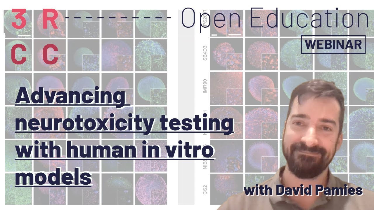 Advancing neurotoxicity testing with human in vitro models by David Pamies
