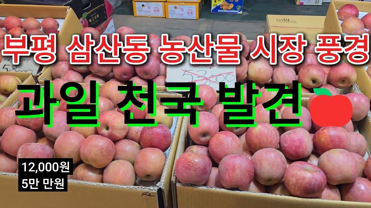 과일 천국 발견🍎 부평 삼산동 농산물 시장 풍경
