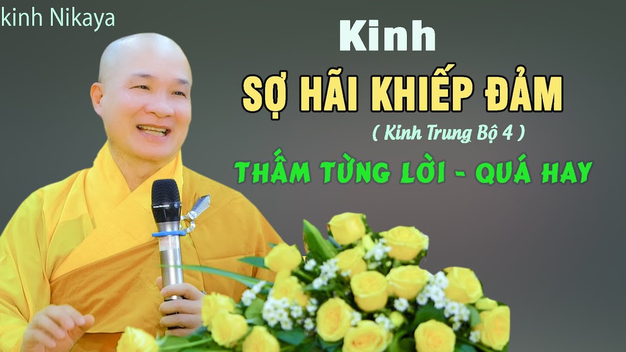 Không Còn Lo Sợ Điều Gì Nếu Nghe Hết Bài Kinh Này - Cực hay. Thầy Thích Trí Huệ Kinh TB 4