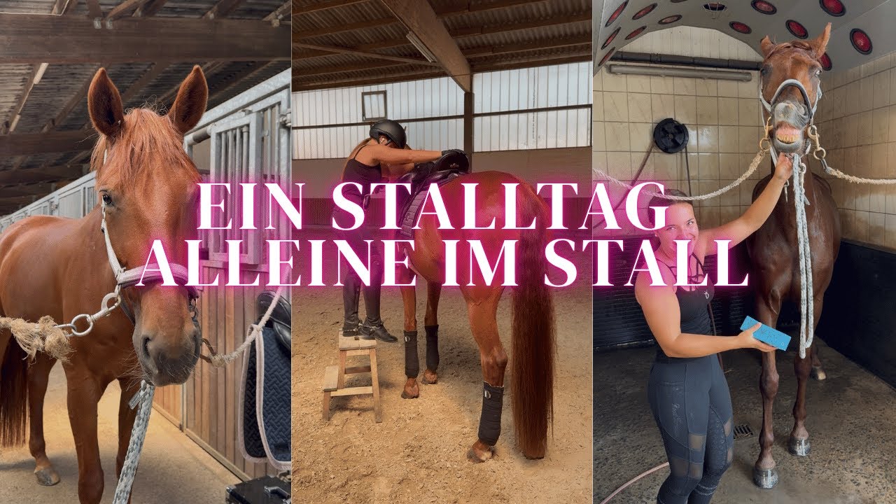 ALLEINE IM STALL  😱​😍​ | verbringe ein Stalltag mit mir | Marina Schuster