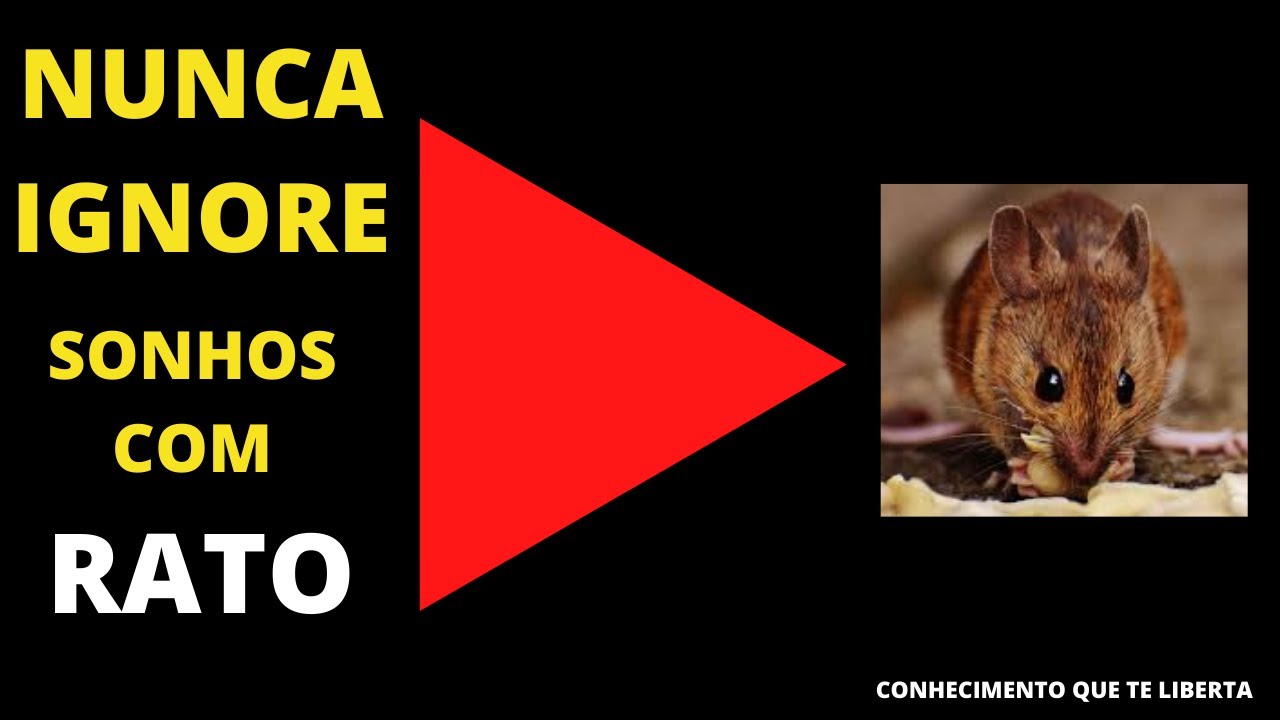 SONHAR COM RATO SIGNIFICADO
