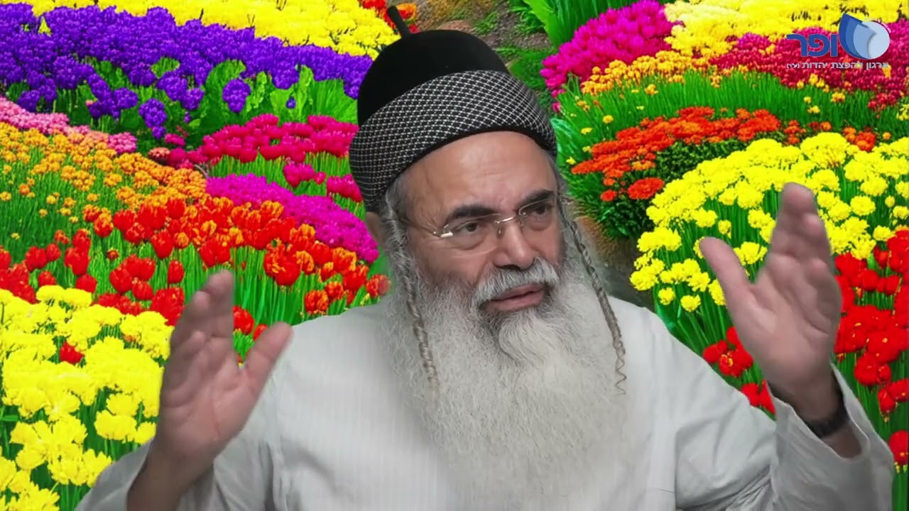 פרפראות וחדושים לפרשת יתרו חלק ד' | הרב אמנון יצחק שליט