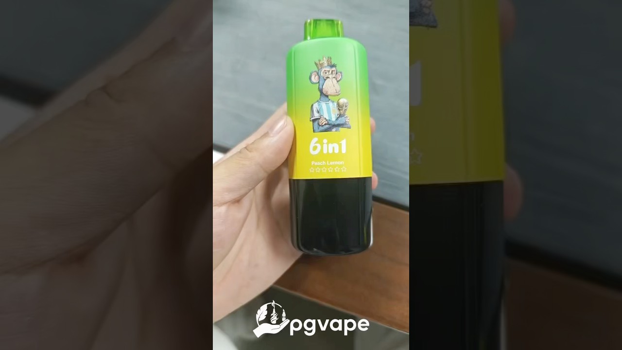 Bang Leader 110k Puffs 6 in 1 Flavors Disposable Vape Adjustable Flavor Modes With LED Screen pgvape
