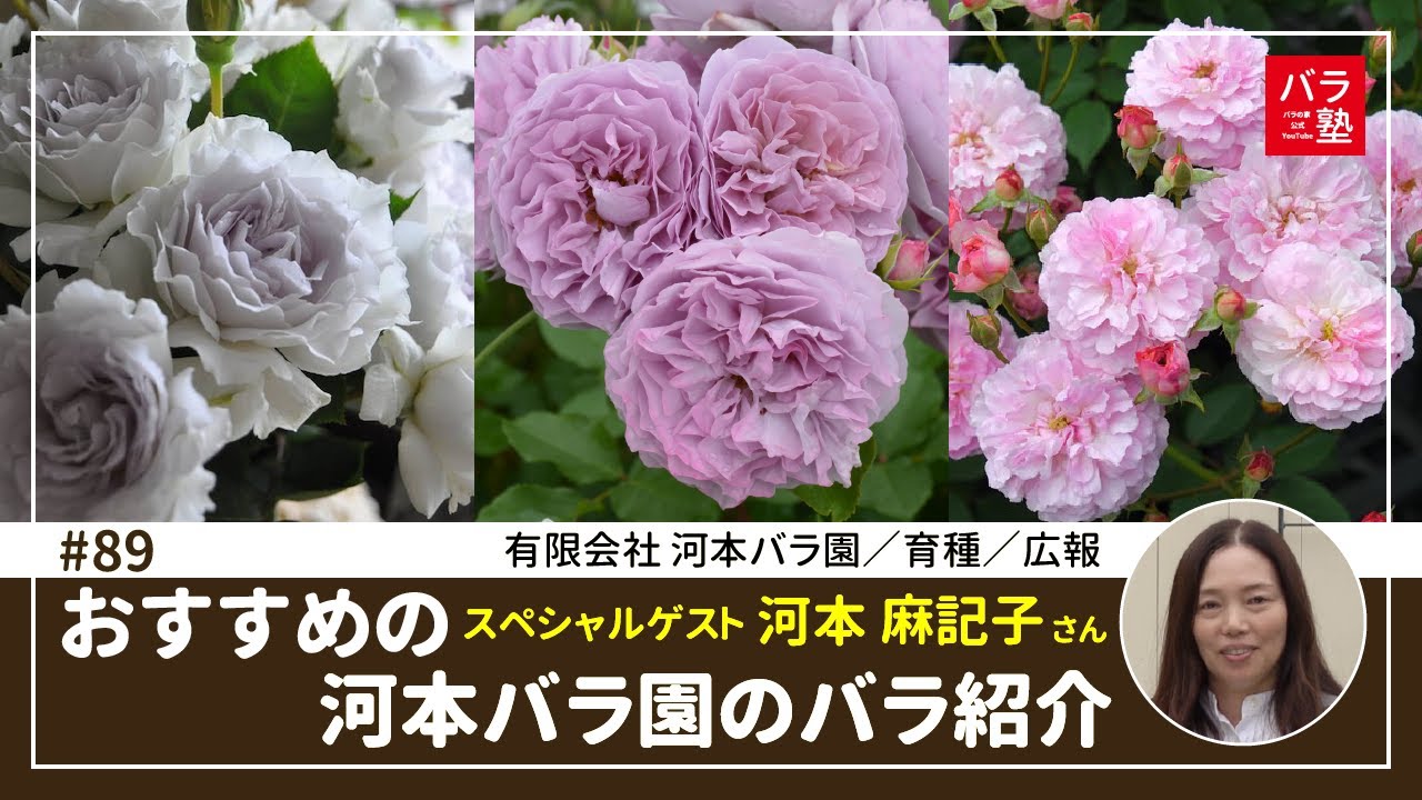 #89 おすすめの河本バラ園のバラ紹介