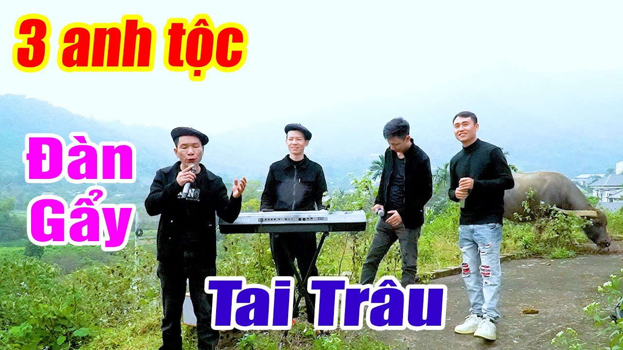3 ANH TỘC ĐÀN GẢY TAI TRÂU - 3 Anh Tộc Thi Hát Vùng Cao Tây Bắc - Nhạc Sống Disco Remix Vùng Cao