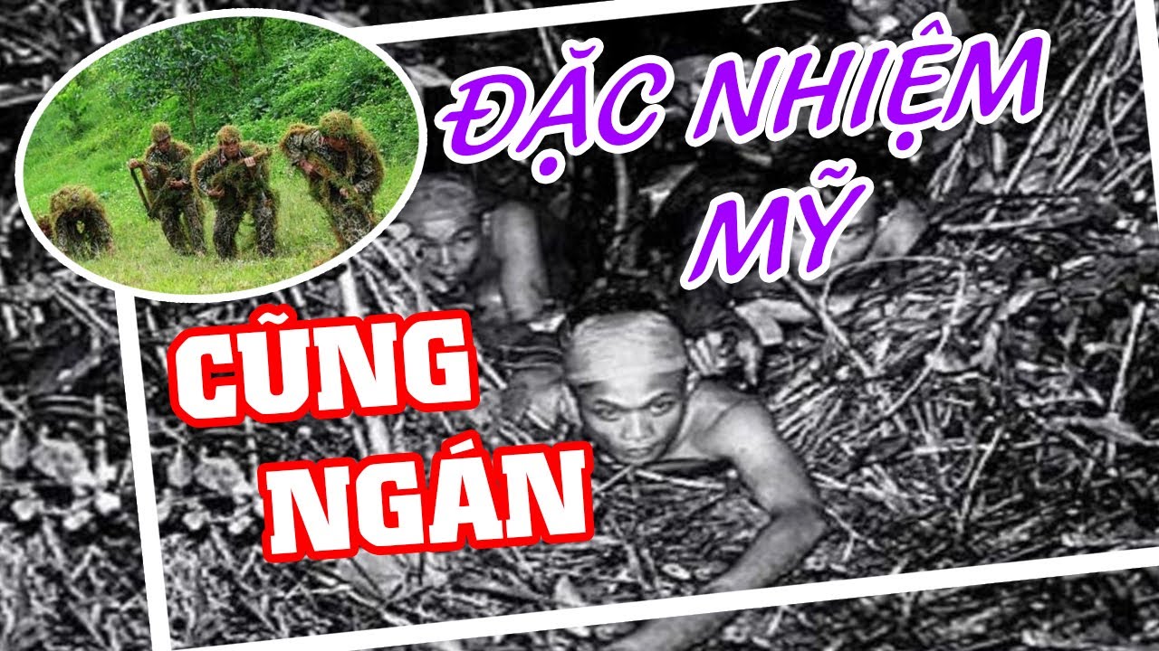 Mỹ Và TQ Đều Ngán Lính Đặc Công Việt Nam | Cựu Binh Mỹ Giải Mã Những Tuyệt Chiêu Của Đặc Công VN