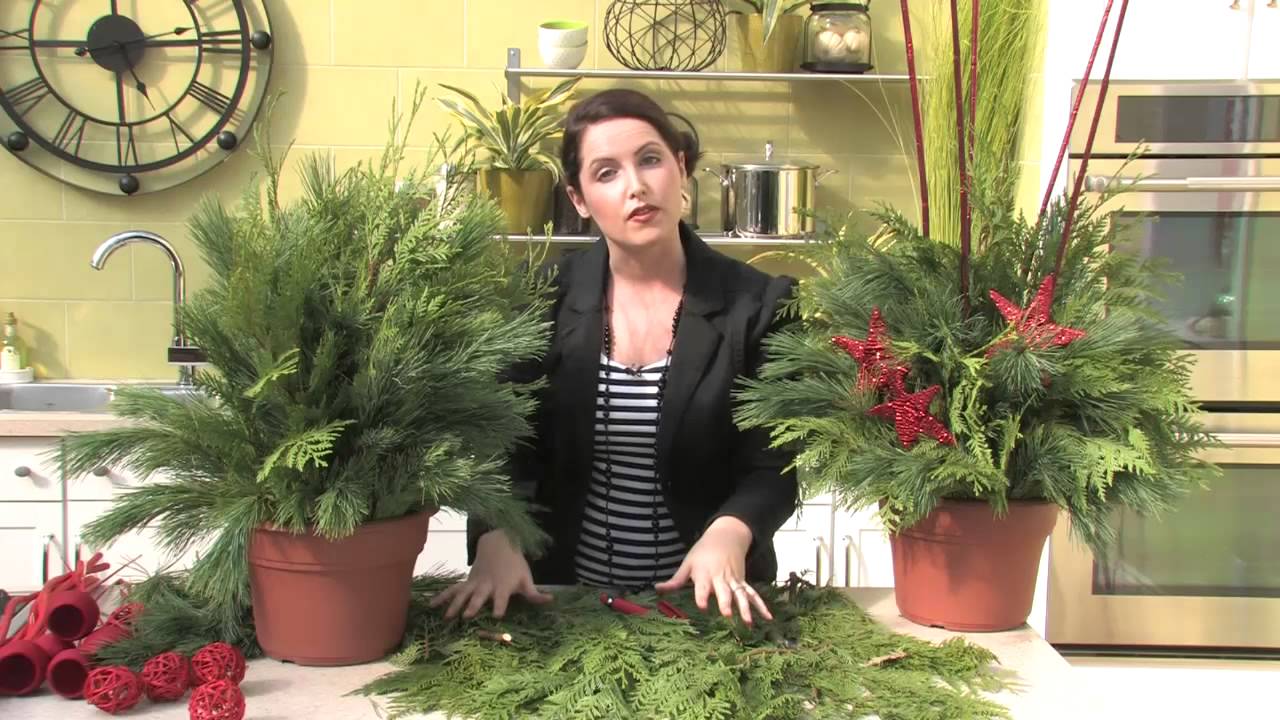 Making a Live Holiday Planter