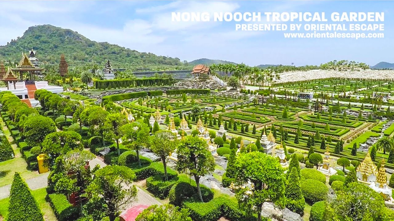 PATTAYA Nong Nooch garden