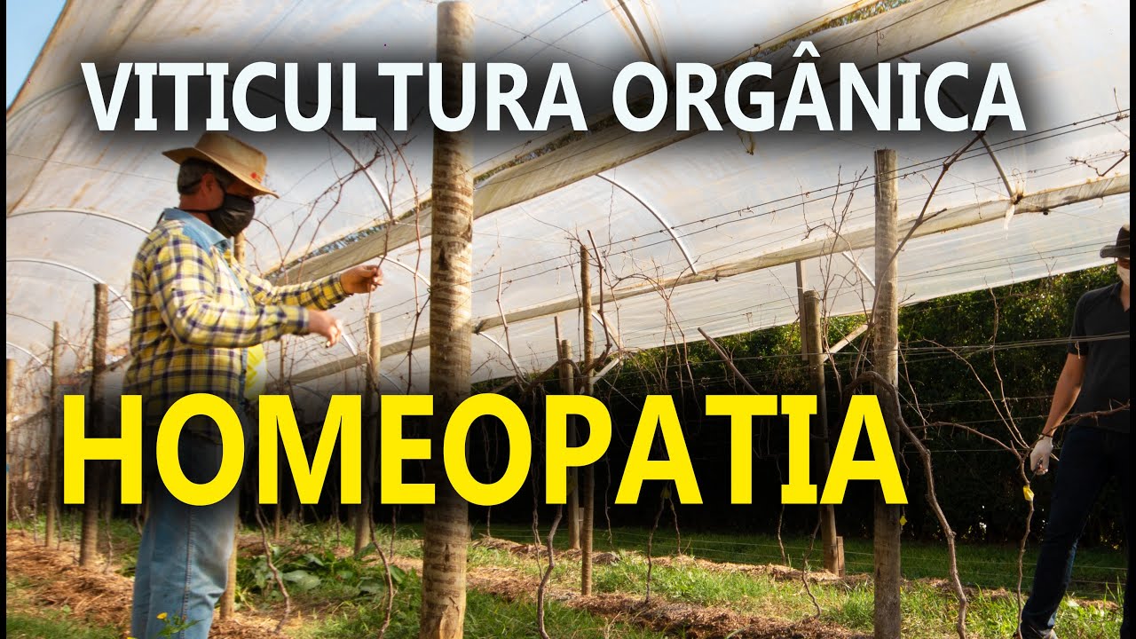 Homeopatia Aplicação na Viticultura Orgânica com Pesq. Sebastião Wilson Tivelli