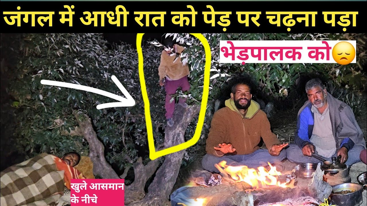 WHAT HAPPENED TO THE SHEPHERD'S IN THE FOREST?COLDEST NIGHT CAMPING WITH NOMADIC SHEPHERD'S.HIMACHAL