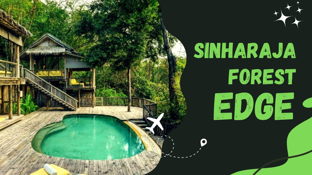 Sinharaja forest edge | Cinematic video