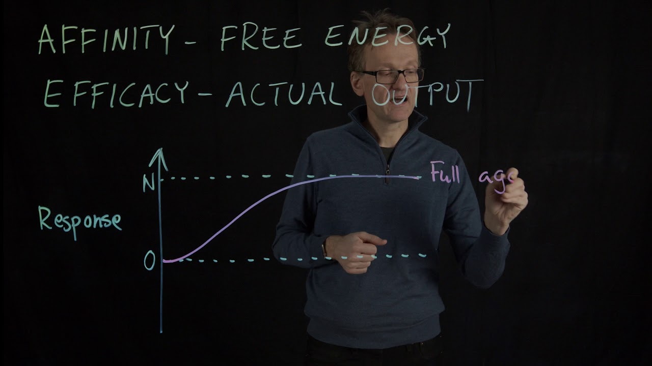 Lecture 12, concept 06: Affinity vs. efficacy & agonists vs. antagonists vs. inverse agonists