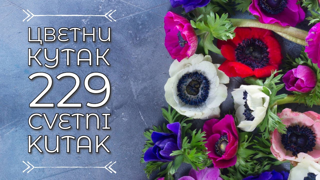 Cvetni kutak ep. 229 28.03.2024. Kalemljenje četinara, Rasadnik 