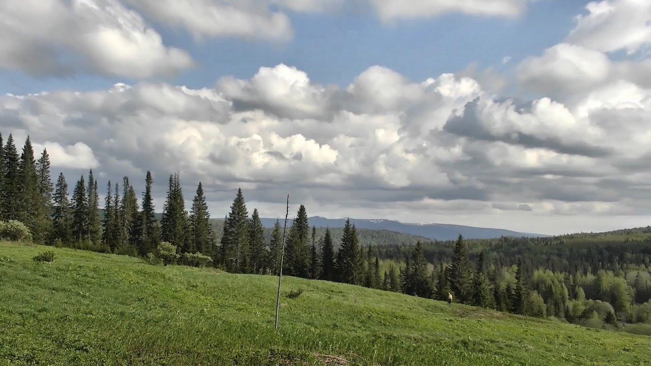 Удачный поиск старины в красивом месте #318