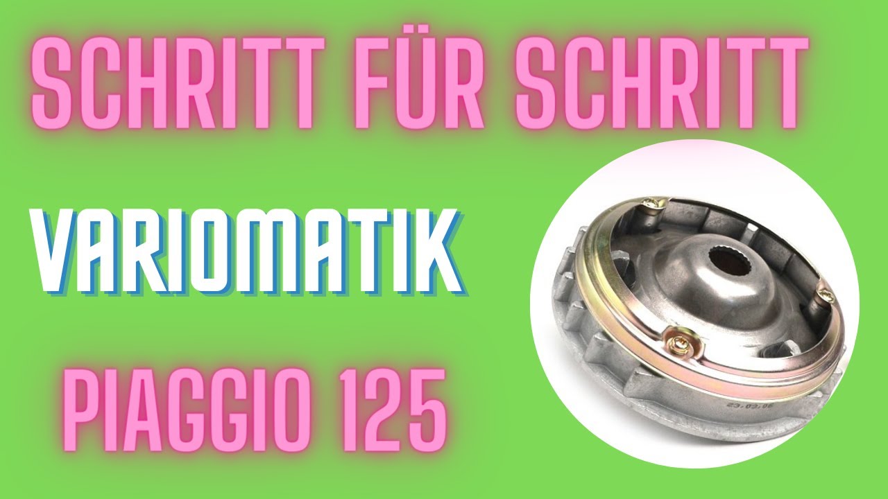 Piaggio 125 Variomatik + Simmerring Schritt für Schritt