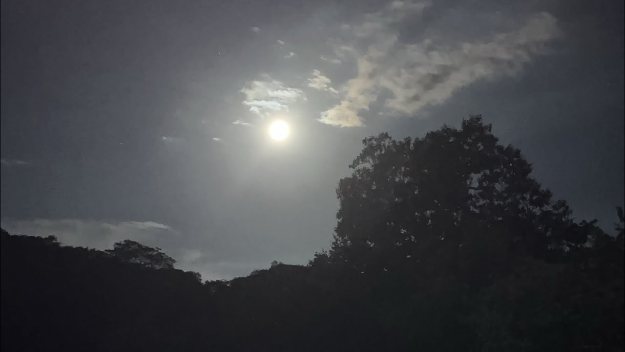 Nina na roça está ao vivo!