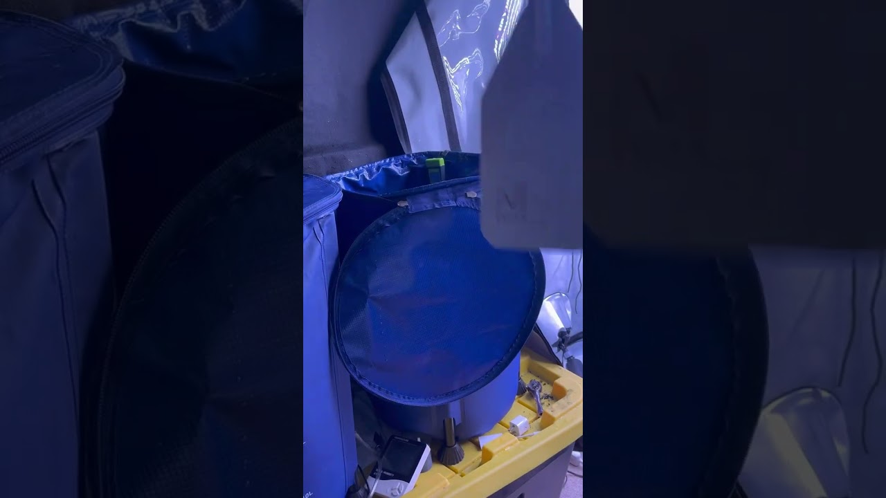 POV: You grow with AutoPot and Crop Salt :)