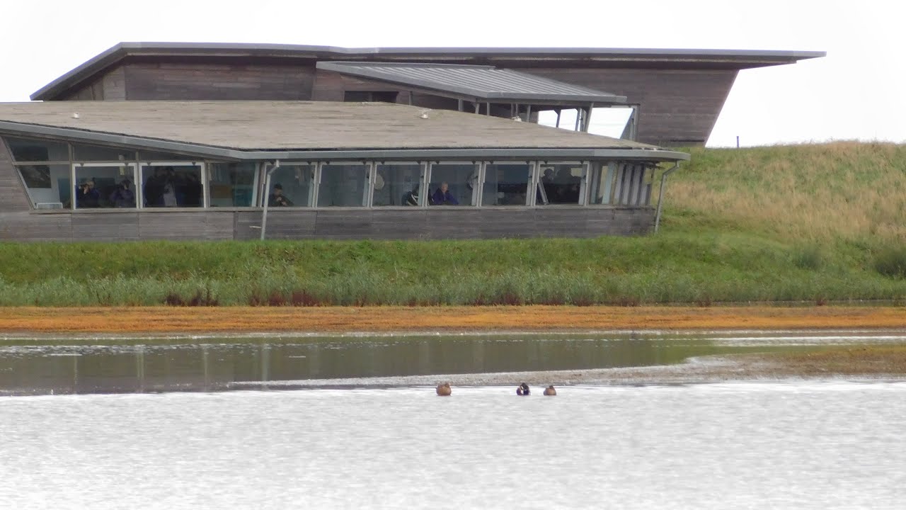 RSPB Titchwell Marsh North Norfolk