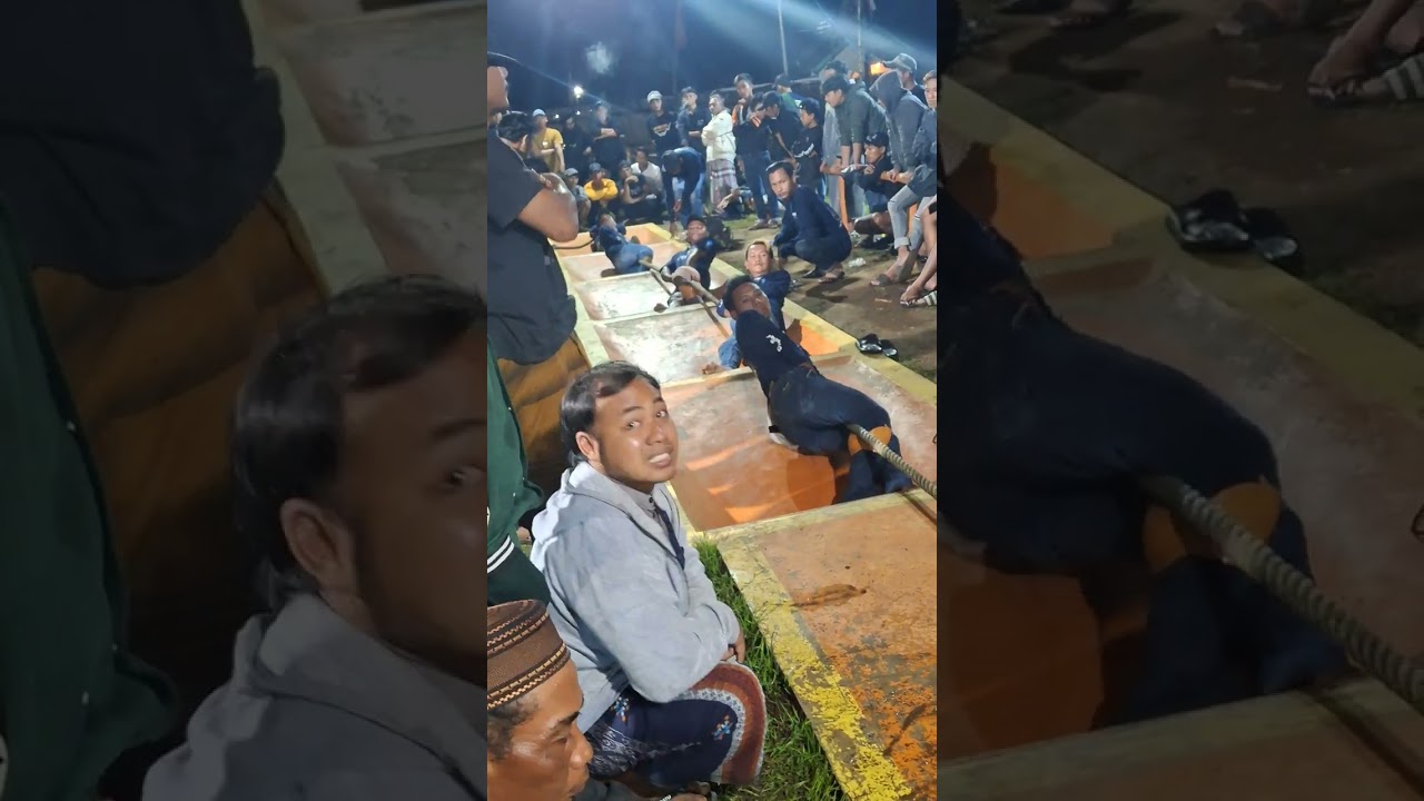 Pemembus bumi