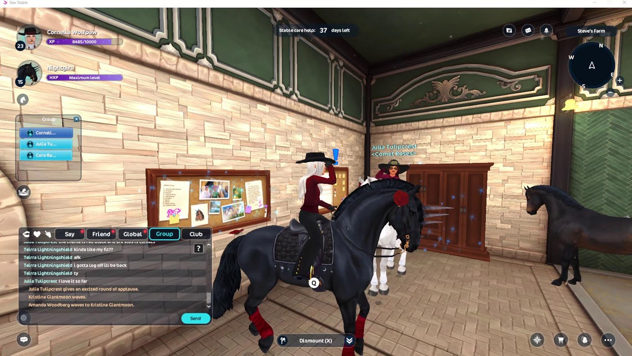 Star Stable Online - train and do dailys