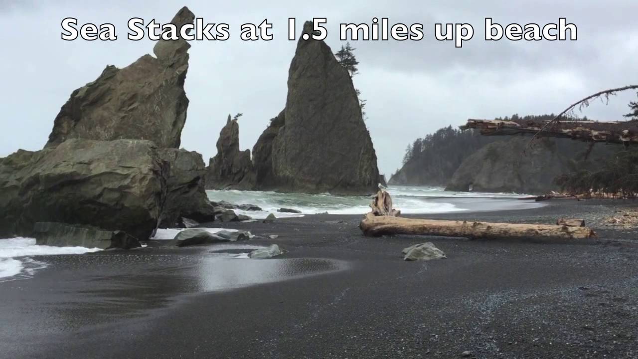 Rialto Beach agate and rock hunting, LaPush, WA