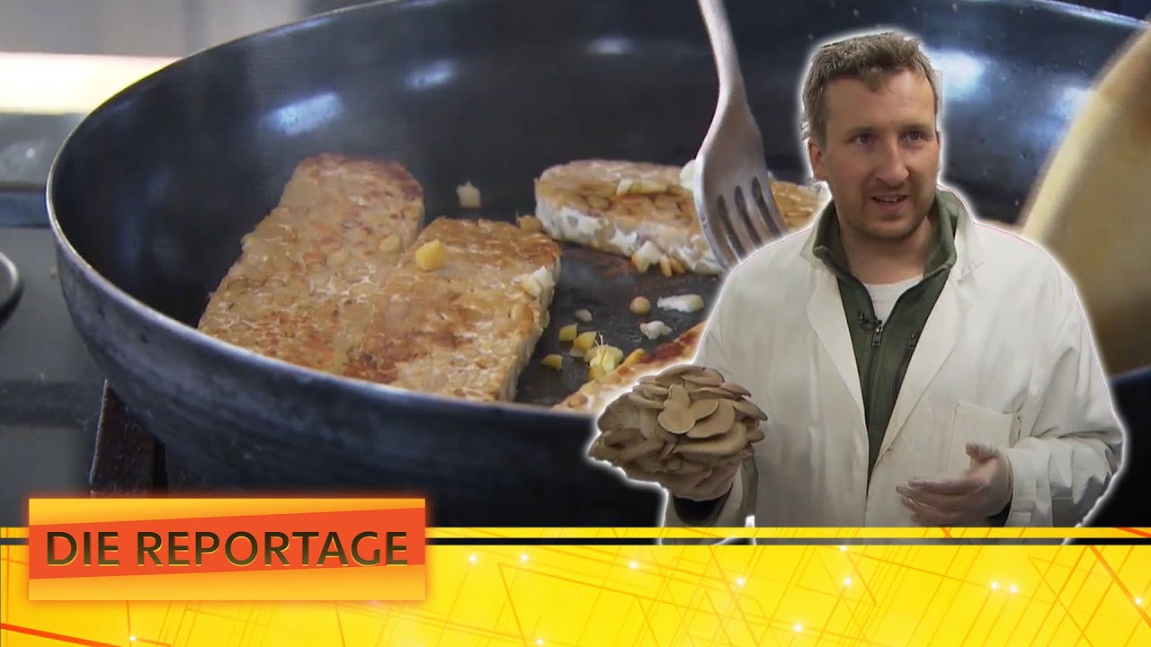 Pilzzucht & Schnitzelersatz - Was isst Österreich Teil 3 | Die Reportage | ATV