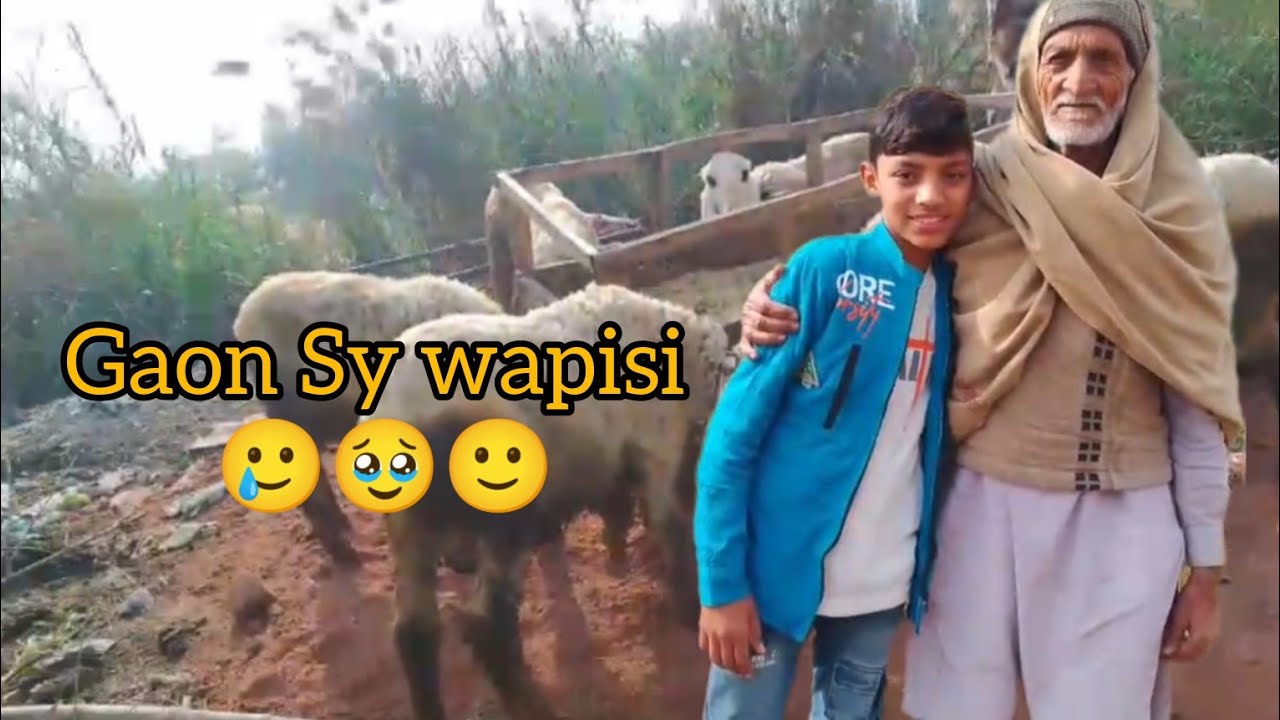 Phopu ki baqriya 😊