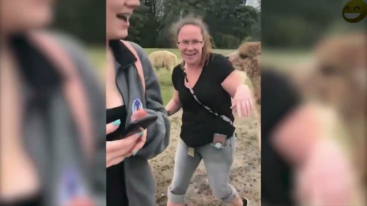 Top 30 - Plujące Lamy